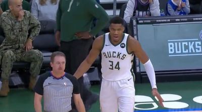 Giannis Antetokounmpo Sassily Sat in Front Row in Protest of Ejection From Bucks Game