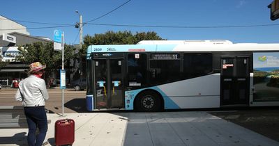 Call for better airport bus, closer look at Hunter's disjointed network
