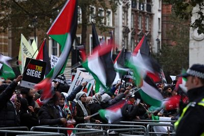 ‘Armistice Day means ceasefire’: voices of those heading to London’s pro-Palestine march