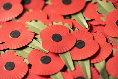 Police end probe into alleged assault of poppy seller due to 'insufficient evidence'
