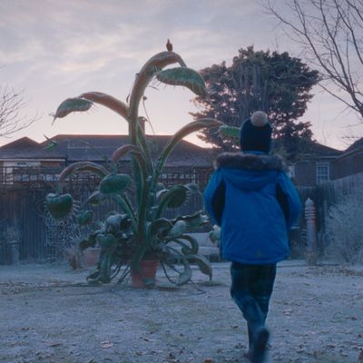 John Lewis' Christmas advert 2023 in full is here, with a very unusual festive mascot