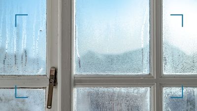 Why do my windows have condensation on the inside? Experts reveal all – to help resolve the issue