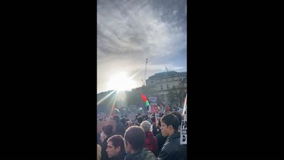 Can a protest legally be stopped? Armistice Day pro-Palestine march set to go ahead