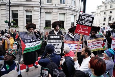 Half of Britain wants to ban Palestine march on Armistice Day, poll finds