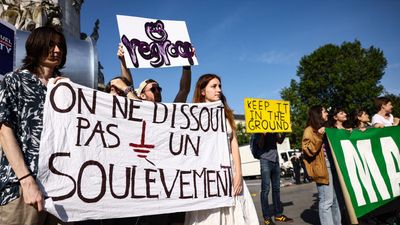Top French court overturns dissolution of climate protest group