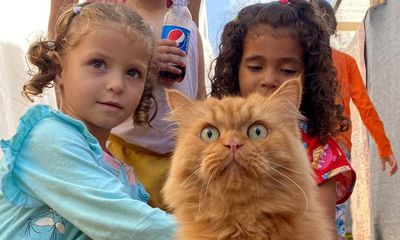 Gaza diary part 19: ‘My sister is crying, running like crazy. I’m sure we’ve lost our cat’