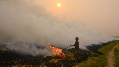 Centre faults Punjab’s farm fires for Delhi’s air pollution problem