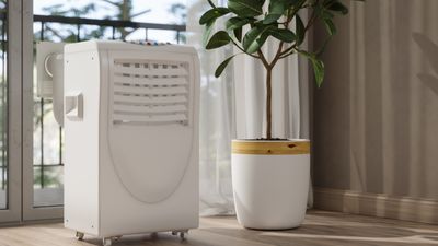 How to clean a dehumidifier with our easy, expert-approved method