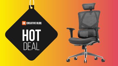 The best budget ergonomic office chair is now under $170