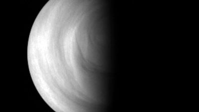 Between Venus' atmospheric currents, a layer of reactive oxygen