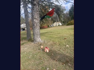 Decapitated baby doll is left under Free Palestine flag in Ohio