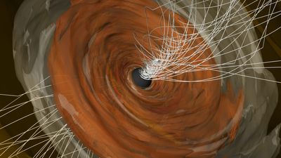 1st black hole ever imaged by humans has twisted magnetic fields and scientists are thrilled