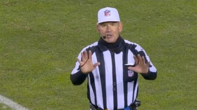 Bears Fans Went on Emotional Roller Coaster Over Ref’s Mistake When Announcing a Penalty