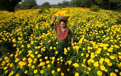 AP Week in Pictures: Asia
