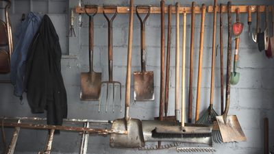 How to store garden tools over winter – expert advice for keeping them in top condition