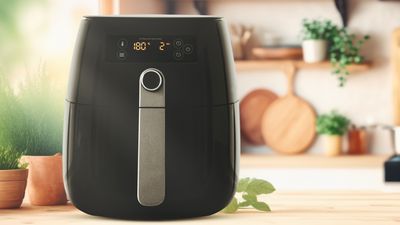 I've had my air fryer for years — but I only use it for one thing