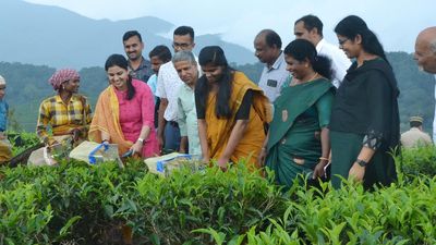 New adventure tourism site opened in Wayanad