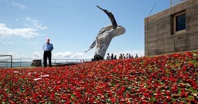 Thousands of poppies laid in remembrance at Fort Scratchley