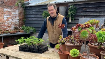 Gardeners' World cancelled — here's why