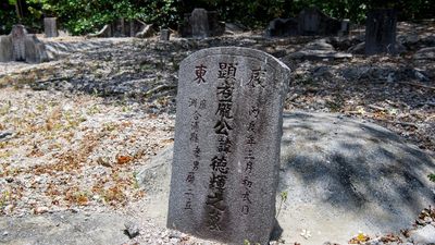 Christmas Island's rare Chinese time capsules