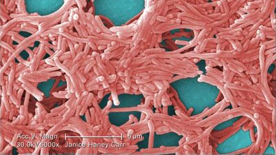 NJ officials investigate unusual spike in Legionnaires' disease