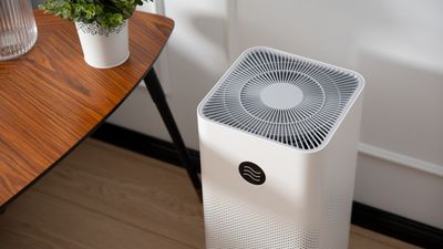 Dehumidifier vs air purifier: what's the difference?