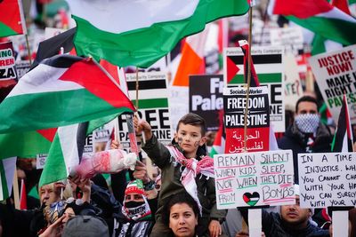 Why is a pro-Palestine march happening on Armistice Day?