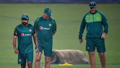 'Pool of players...': Experts explain what Pakistan need to learn from India after World Cup debacle