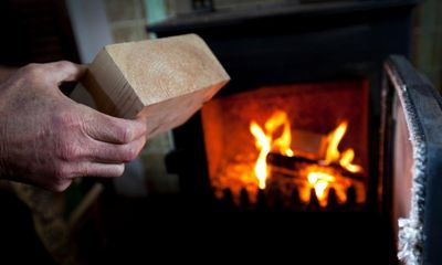 Wood burners more costly for heating than gas boilers, study finds