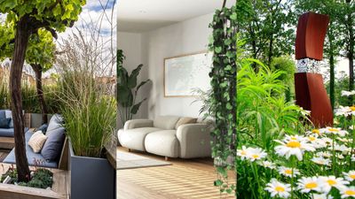 2024 biophilic garden design trends – experts share the latest ideas for fusing your indoor and outside space