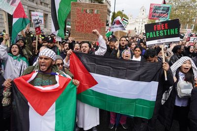 Watch view of huge pro-Palestine march in London on Remembrance Day