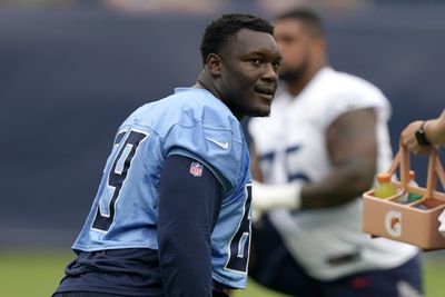 Cardinals sign ex-Titans DL Naquan Jones to practice squad