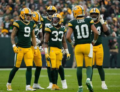 Blitz-heavy Steelers will test entire Packers offense
