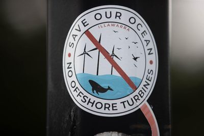 How a false claim about wind turbines killing whales is spinning out of control in coastal Australia
