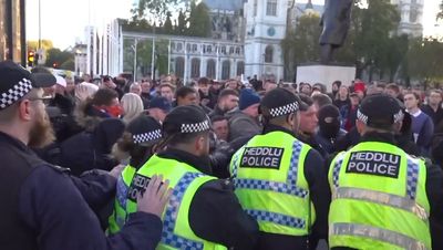 Pro-Palestine march: Rishi Sunak condemns 'violent far-right' and 'Hamas sympathisers' as 126 arrested in total