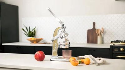 Verve Culture Citrus Juicer review − fabulous form, missing some function