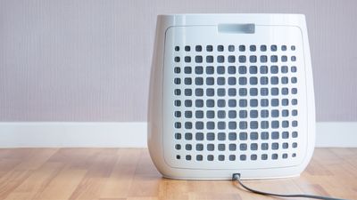 Does a dehumidifier help with mold? Experts weigh in