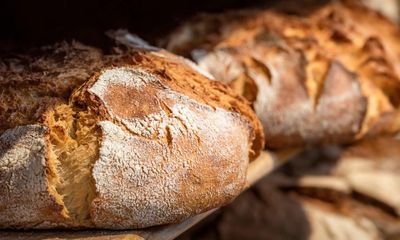 Bread of heaven: sourdough may have had its day, but we’ll always love a loaf