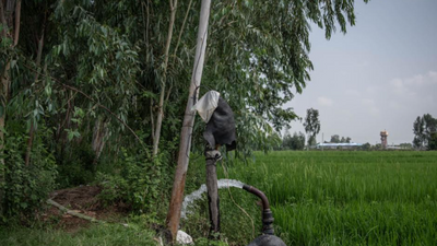 Human-animal Conflict: Karnataka forest minister asks CM Siddaramaiah to supply power during day time