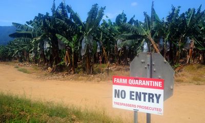 Fines for trespassing on farms would double to $115,000 under Victorian biosecurity bill