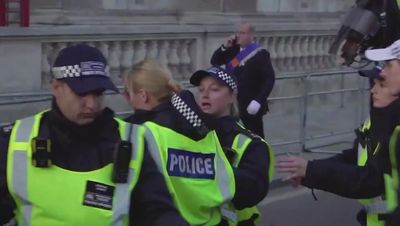 Seven charged after total of 145 arrested during demonstrations on Armistice Day