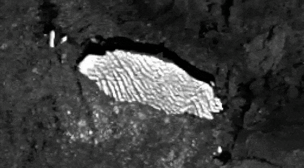 Icebergs are melting fast. This AI can track them 10,000 times faster than humans