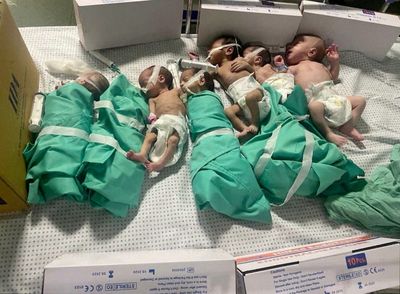 Israel offers to evacuate babies as major Gaza hospital under heavy bombardment