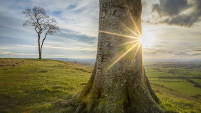 Burst onto the scene! How to achieve a stunning starburst effect in your photos