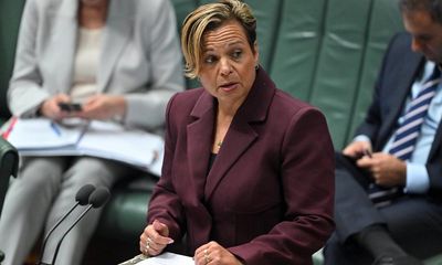Labor to overhaul misinformation bill after objections over freedom of speech