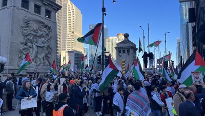 Pro-Israel and pro-Palestinian protesters rally in Chicago, Northbrook