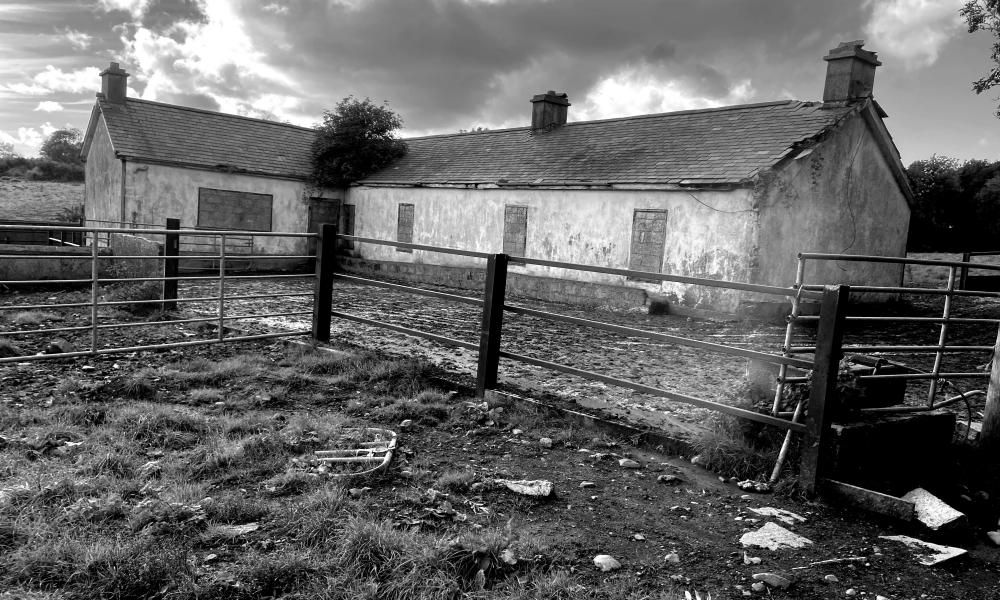ENCLOSURE — rath? in Ballynafoy