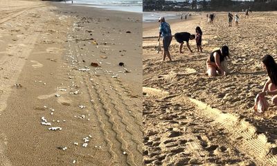 Volunteers left to fill void as Queensland agencies deny responsibility for ‘toxic’ polystyrene beach spill