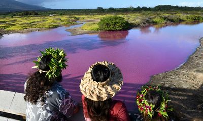 Drought blamed as Maui pond turns bright pink