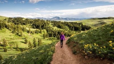 Out-and-back vs loop hiking trails: is one better than the other?